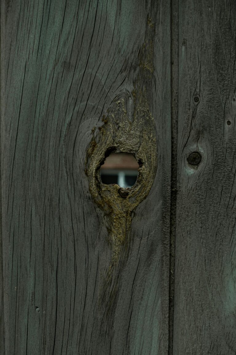 Jacques Lacan’ın Yapıtını okuma Seminerleri