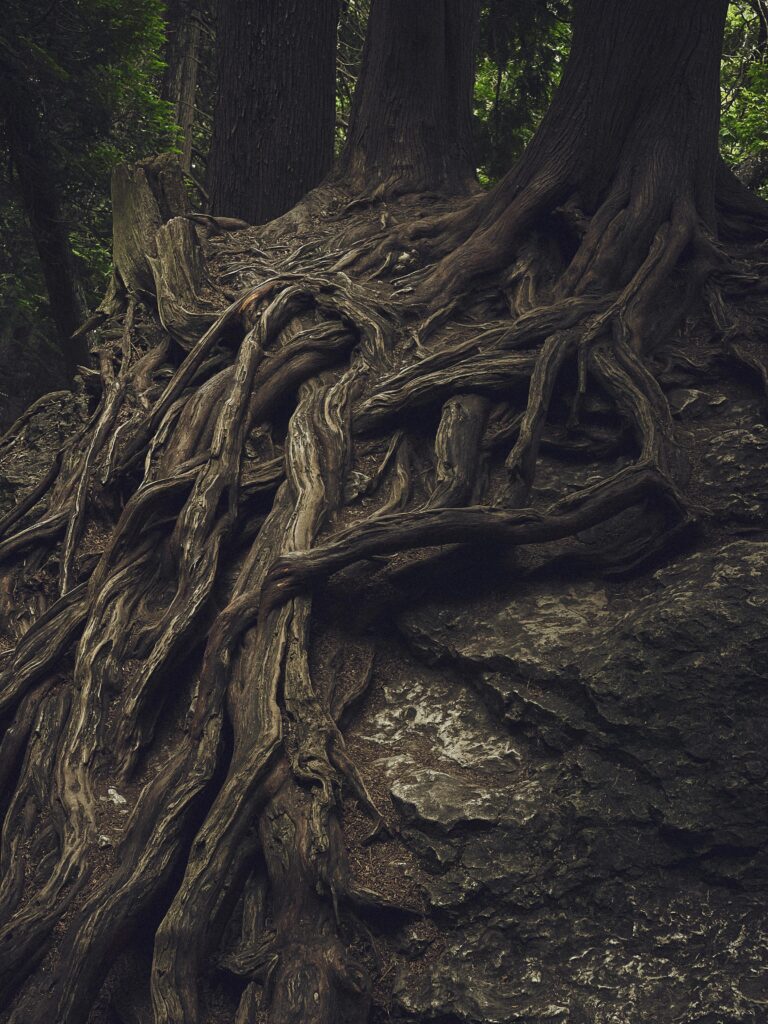 Metaforun Oluşumunun Üç Zamanı