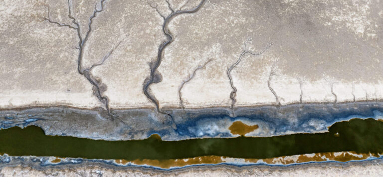 HANG KANG: BENİM YAZARIM DEĞİL!