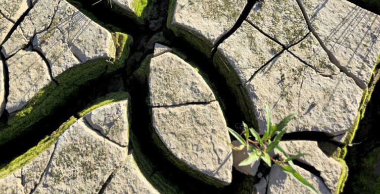 Tematik Atölye: Psikanaliz ve Yazı